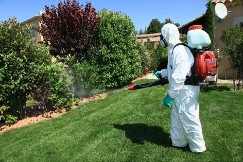 Henderson Mosquito Control