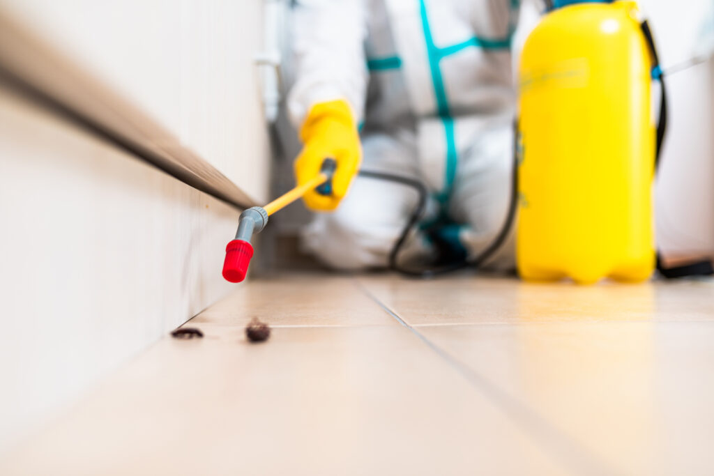 Henderson Cockroach Experts
